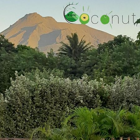 Appartamento O Logis Du Morne Jacob "Coco", Le Morne-Rouge Martinique Esterno foto