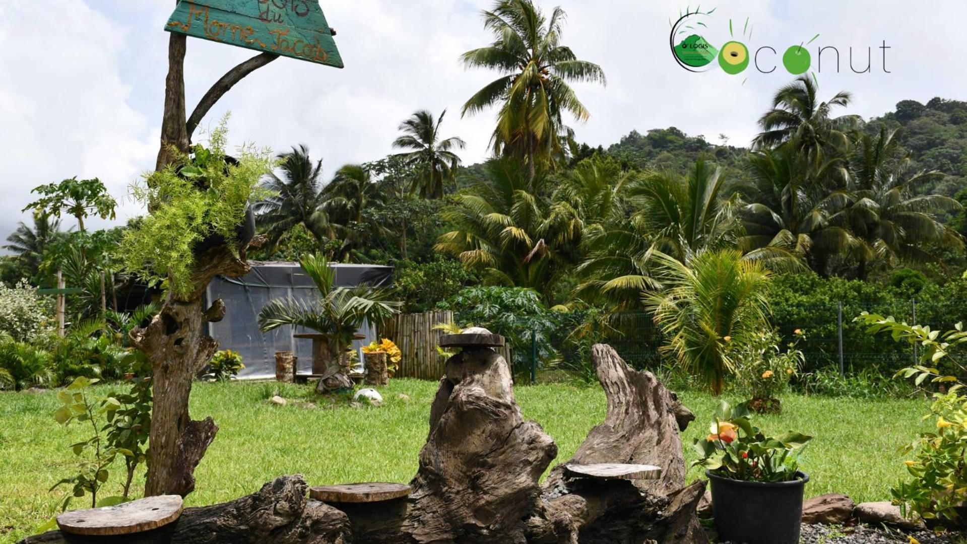Appartamento O Logis Du Morne Jacob "Coco", Le Morne-Rouge Martinique Esterno foto