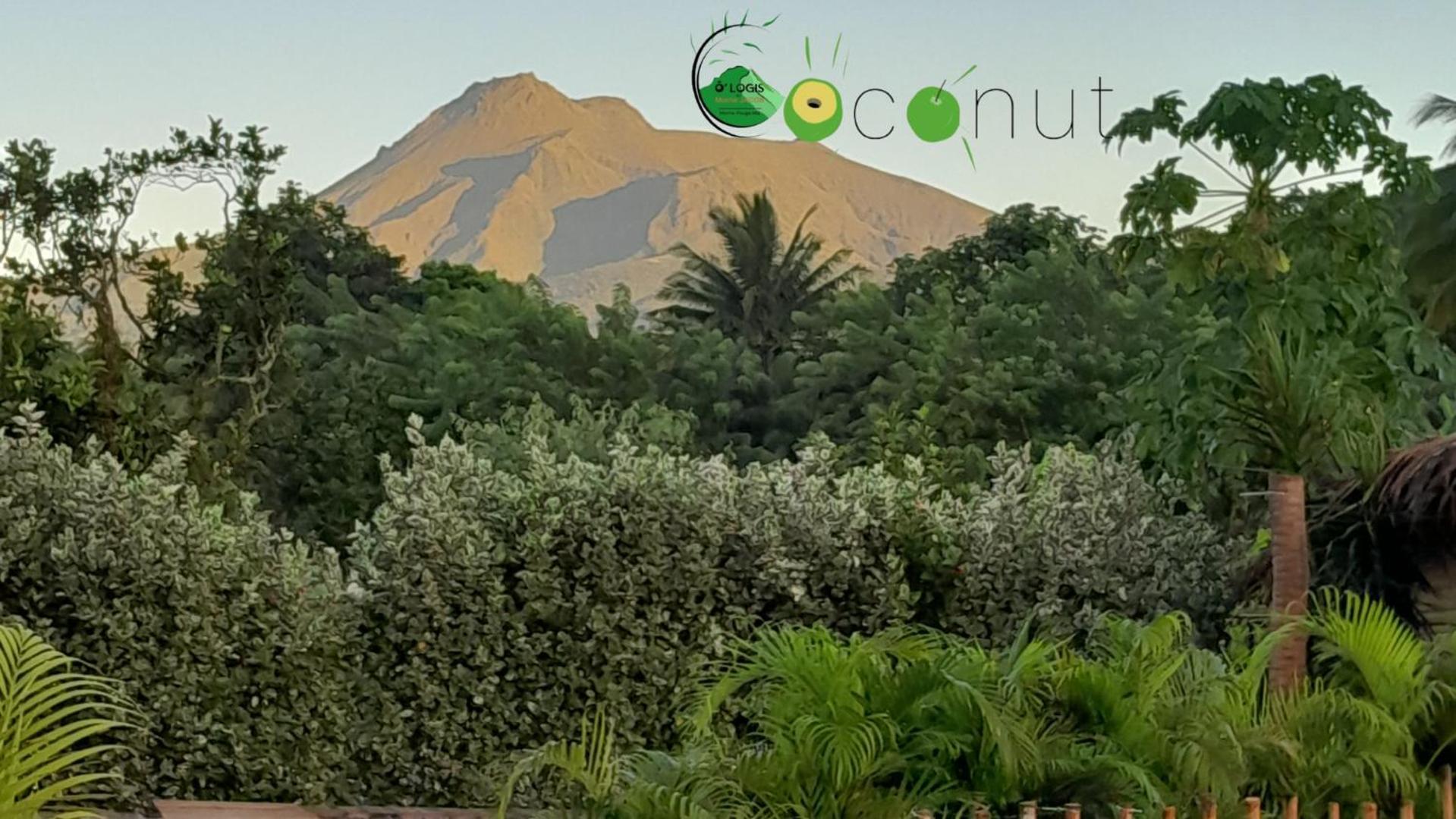 Appartamento O Logis Du Morne Jacob "Coco", Le Morne-Rouge Martinique Esterno foto